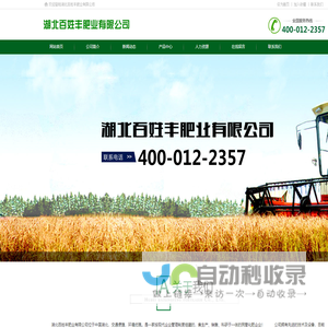 网站截图