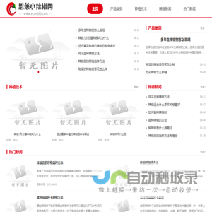 恩慈小辣椒网
