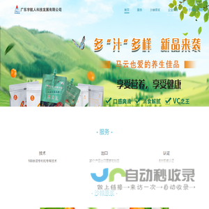 网站截图