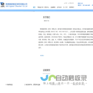 神洲国际物流（深圳）有限公司